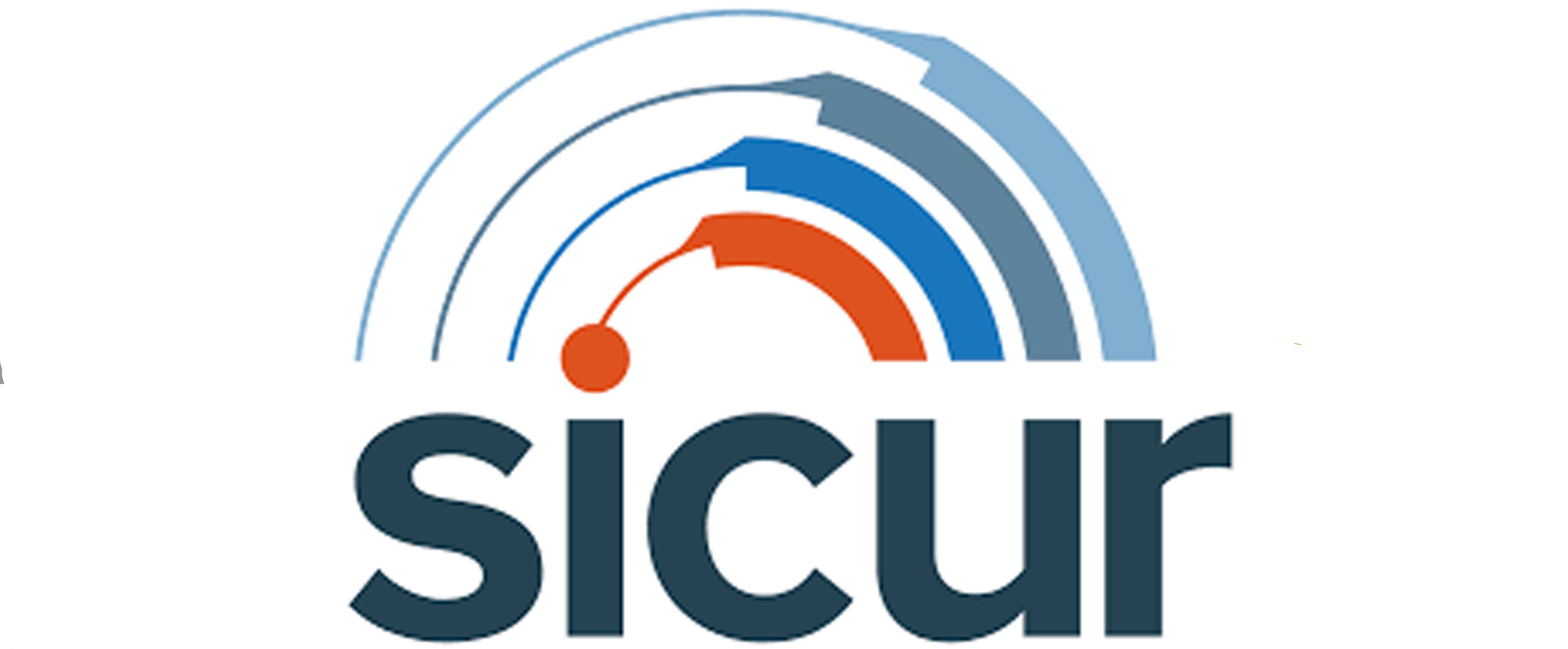 Logo Sicur