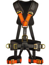 Full body harness. 5 points.