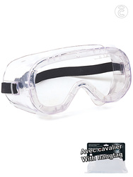 Safety google. Indirect ventilation. Clear anti-fog lens.